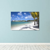 Mauritius, Oost-Mauritius, Trou d' Eau Douce, Canvas Afdruk (Insitu (Houten vloer))