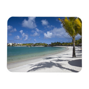 Mauritius, Oost-Mauritius, Trou d' Eau Douce, Magneet