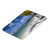 Mauritius, Oost-Mauritius, Trou d' Eau Douce, Magneet (Linkerzijde)