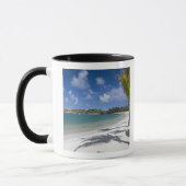 Mauritius, Oost-Mauritius, Trou d' Eau Douce, Mok (Links)