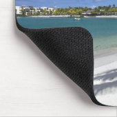 Mauritius, Oost-Mauritius, Trou d' Eau Douce, Muismat (Hoek)