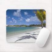 Mauritius, Oost-Mauritius, Trou d' Eau Douce, Muismat (Met muis)