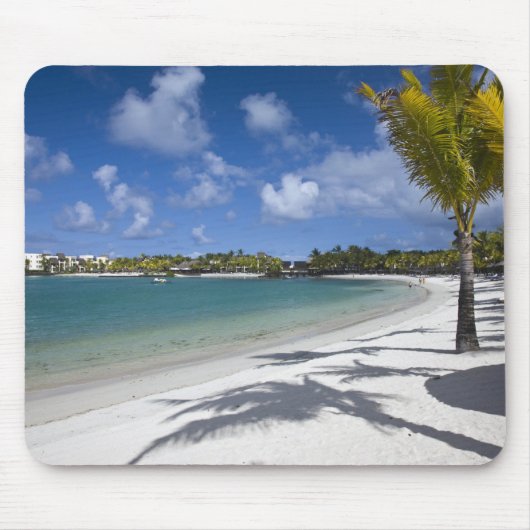 Mauritius, Oost-Mauritius, Trou d' Eau Douce, Muismat (Voorkant)