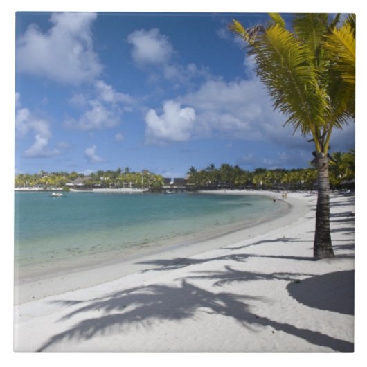 Mauritius, Oost-Mauritius, Trou d' Eau Douce, Tegeltje (Voorkant)