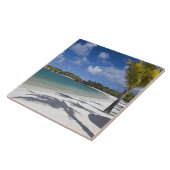 Mauritius, Oost-Mauritius, Trou d' Eau Douce, Tegeltje (Zijkant)