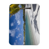 Mauritius, Oost-Mauritius, Trou d'Eau Douce, Magneet (Verticaal)