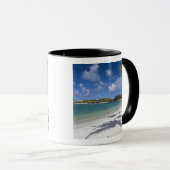 Mauritius, Oost-Mauritius, Trou d'Eau Douce, Mok (Voorkant rechts)