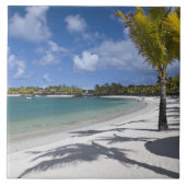 Mauritius, Oost-Mauritius, Trou d'Eau Douce, Tegeltje (Voorkant)