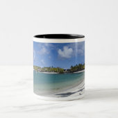 Mauritius, Oost-Mauritius, Trou d'Eau Douce, Tweekleurige Koffiemok (Center)