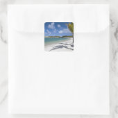 Mauritius, Oost-Mauritius, Trou d'Eau Douce, Vierkante Sticker (Tas)