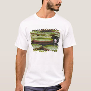 Mauritius, Pamplemousses, SSR Botanische tuin T-shirt