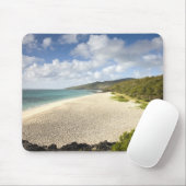 Mauritius, Rodrigues eiland, St. Francois, St. Muismat (Met muis)
