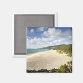 Mauritius, Rodrigues Island, St. Francois, St. Magneet (Voorkant / Achterkant)