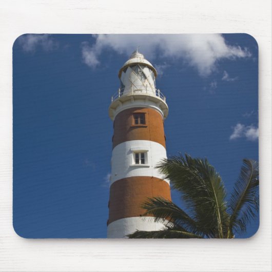 Mauritius, West-Mauritius, Belle Vue, Albion Muismat (Voorkant)