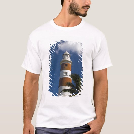 Mauritius, West-Mauritius, Belle Vue, Albion T-shirt (Voorkant)