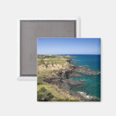 Mauritius, West-Mauritius, Belle Vue, Oceaan Magneet (Voorkant / Achterkant)