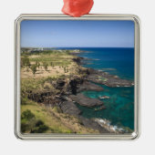 Mauritius, Western Mauritius, Belle Vue, Oceaan Metalen Ornament (Voorkant)
