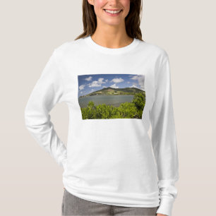 Mauritius, Zuid-Mauritius, Grand Sable, T-shirt