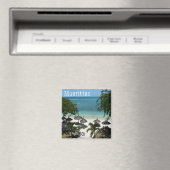 Mauritus Magneet (Insitu (Vaatwasser))