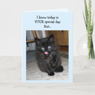 Mauser Kitten Happy Birthday Card Kaart