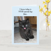 Mauser Kitten Happy Birthday Kaart (Gele Bloem)