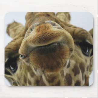 Mauspad Giraffe Kuss Muismat