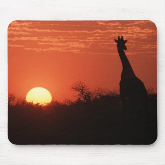 Mauspad Giraffe Sonnenuntergang Muismat (Voorkant)