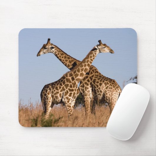 Mauspad Giraffen Muismat (Met muis)