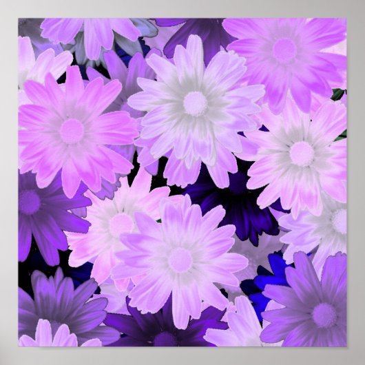 Mauve bloem poster (Voorkant)