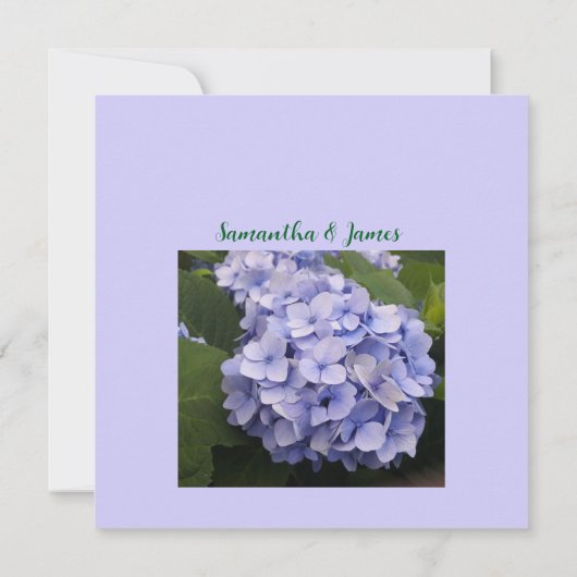 Mauve Chrysanthemum Huwelijksuitnodiging Kaart (Achterkant)