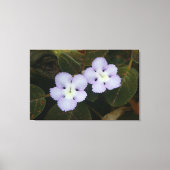 Mauve Colored Tropical Wildflower Canvas Afdruk (Voorkant)