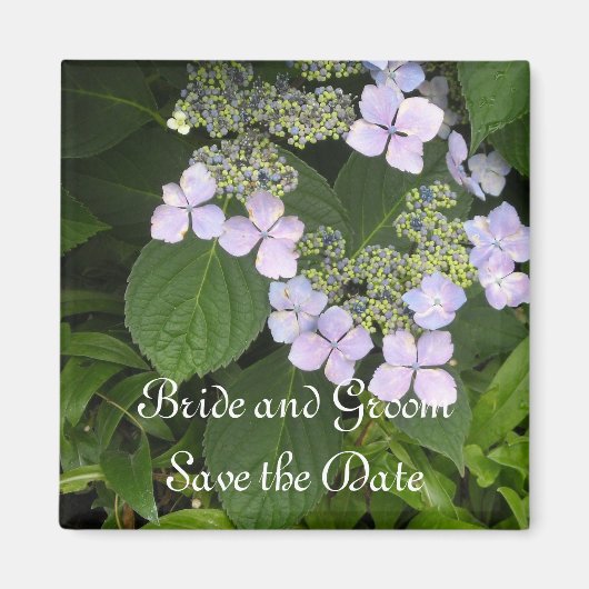 Mauve Hortensia Save the Date Magneet (Voorkant)