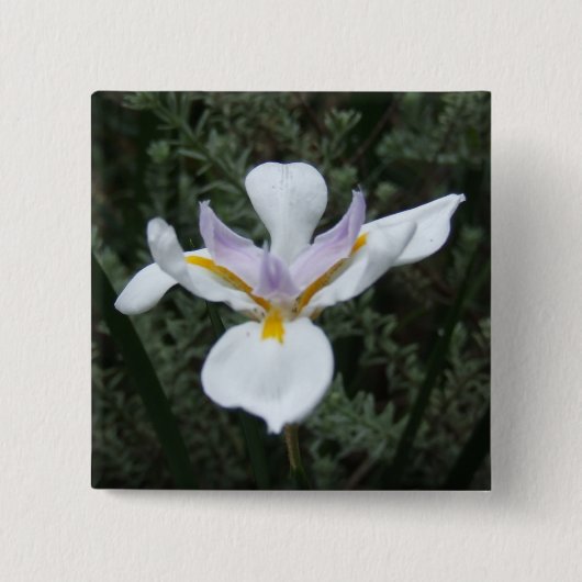 MAUVE IRIS FLOWER BADGE VIERKANTE BUTTON 5,1 CM (Voorkant)