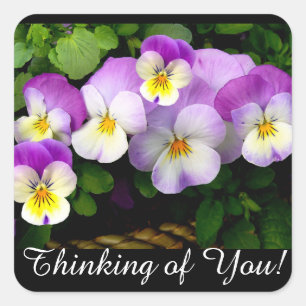  Mauve Pansy Thinking of You Vierkante Sticker