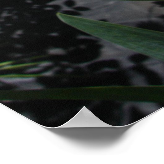 Mauve Pink Iris Floral Flowers Foto Poster (Hoek)