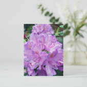 Mauve Rhododendron Briefkaart (Staand voorkant)
