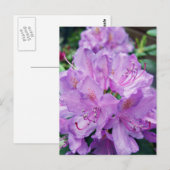 Mauve Rhododendron Briefkaart (Voorkant / Achterkant)