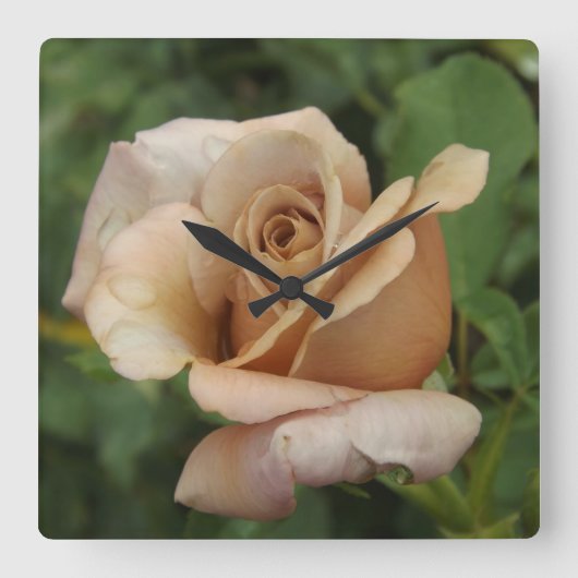 Mauve Roos Vierkante Klok (Voorkant)