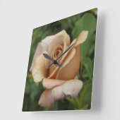 Mauve Roos Vierkante Klok (Hoek)