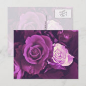 Mauve Rozen in het Briefkaart Bloom (Voorkant / Achterkant)