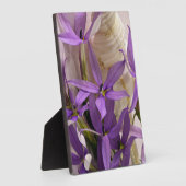 Mauve Starshine Laurentia Fotoplaat (Zijkant)
