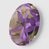 Mauve Starshine Laurentia Grote Klok (Hoek)