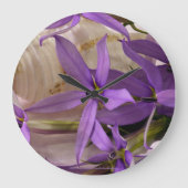 Mauve Starshine Laurentia Grote Klok (Voorkant)