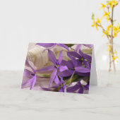 Mauve Starshine Laurentia Kaart (Gele Bloem)