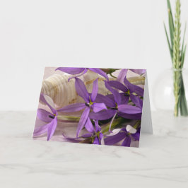 Mauve Starshine Laurentia Kaart