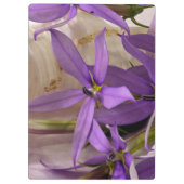 Mauve Starshine Laurentia Klembord (Achterkant)
