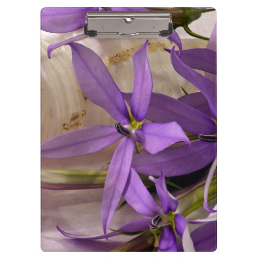Mauve Starshine Laurentia Klembord (Voorkant)