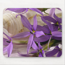 Mauve Starshine Laurentia Muismat