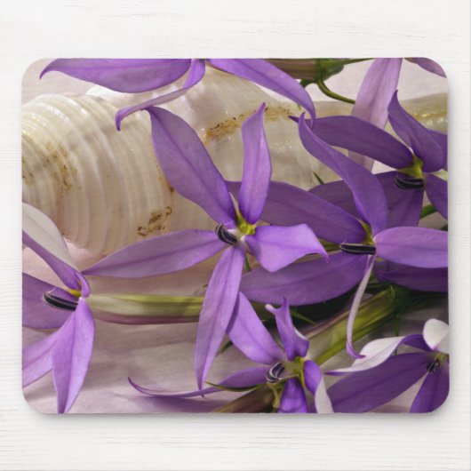 Mauve Starshine Laurentia Muismat (Voorkant)