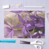 Mauve Starshine Laurentia Tissuepapier (Craft)